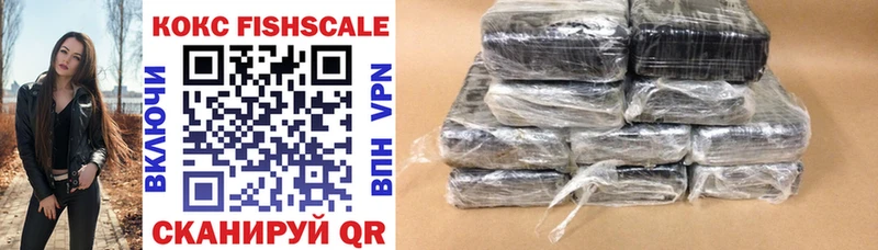 Кокаин FishScale  дарнет шоп  Змеиногорск 