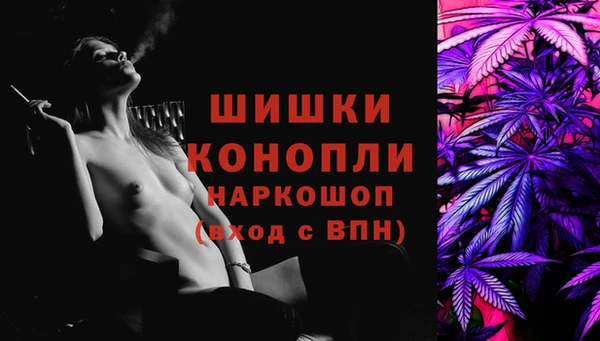 spice Бикин