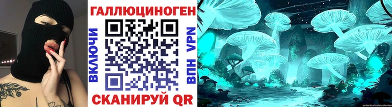 закладка  площадка Telegram  Галлюциногенные грибы мицелий  Змеиногорск  kraken сайт 