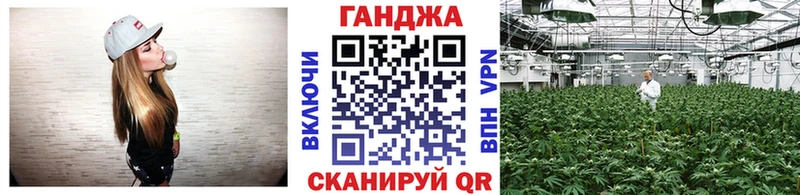 mega ссылка  Змеиногорск  Конопля сатива 
